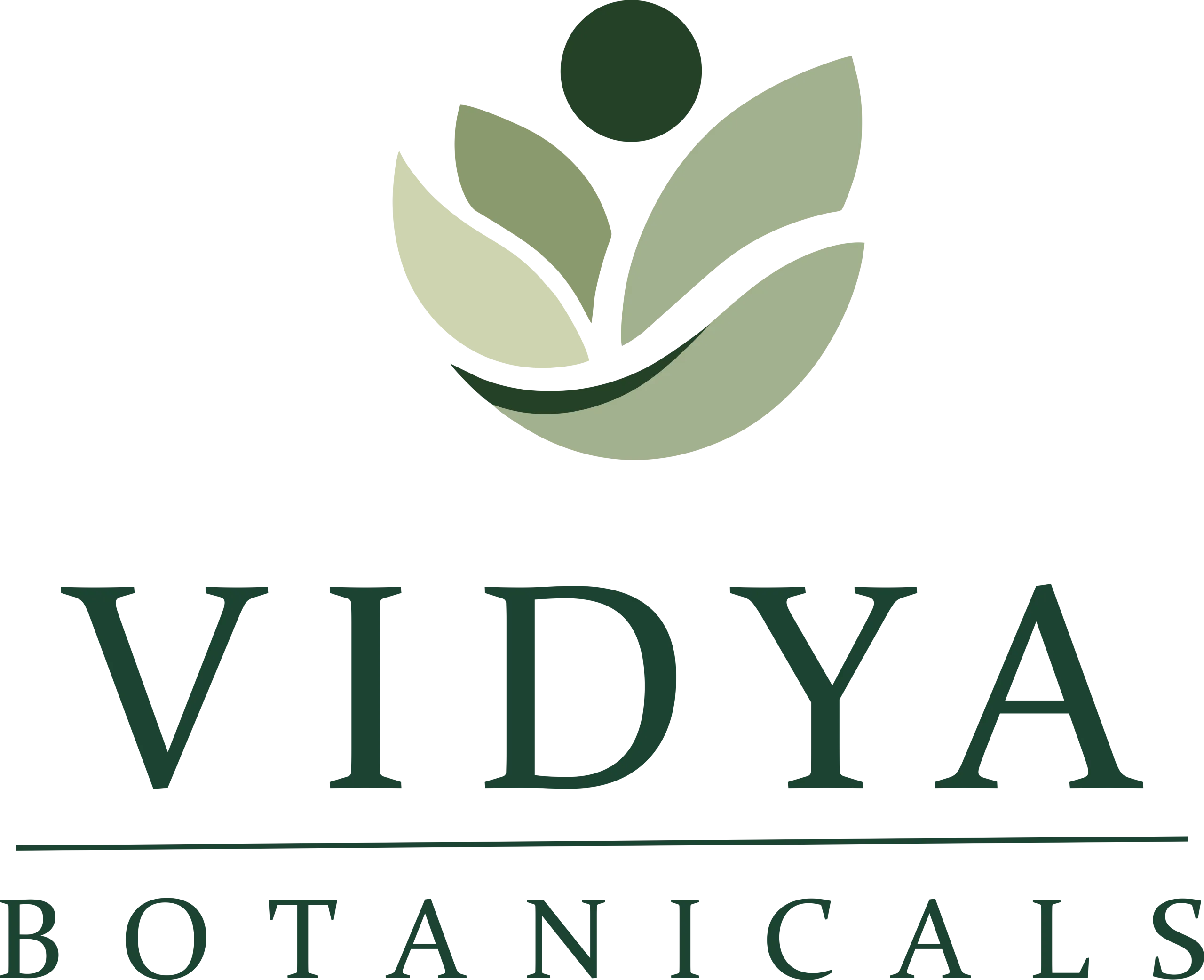 Vidhya Botanicals